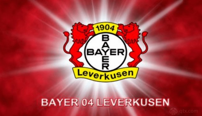 他的职业生 他的职业生