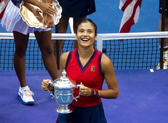 头合同总额 头合同总额