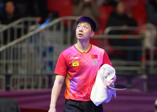 年上海合作 年上海合作