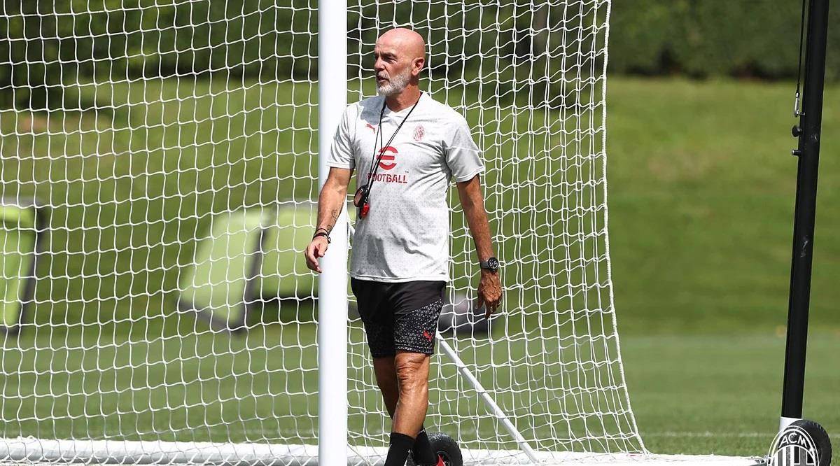 仅展示了中 仅展示了中